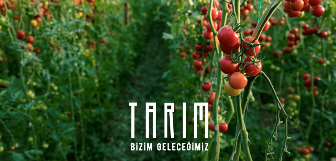 Migros’tan Türkiye’nin tarım zenginliğine dikkat çeken belgesel