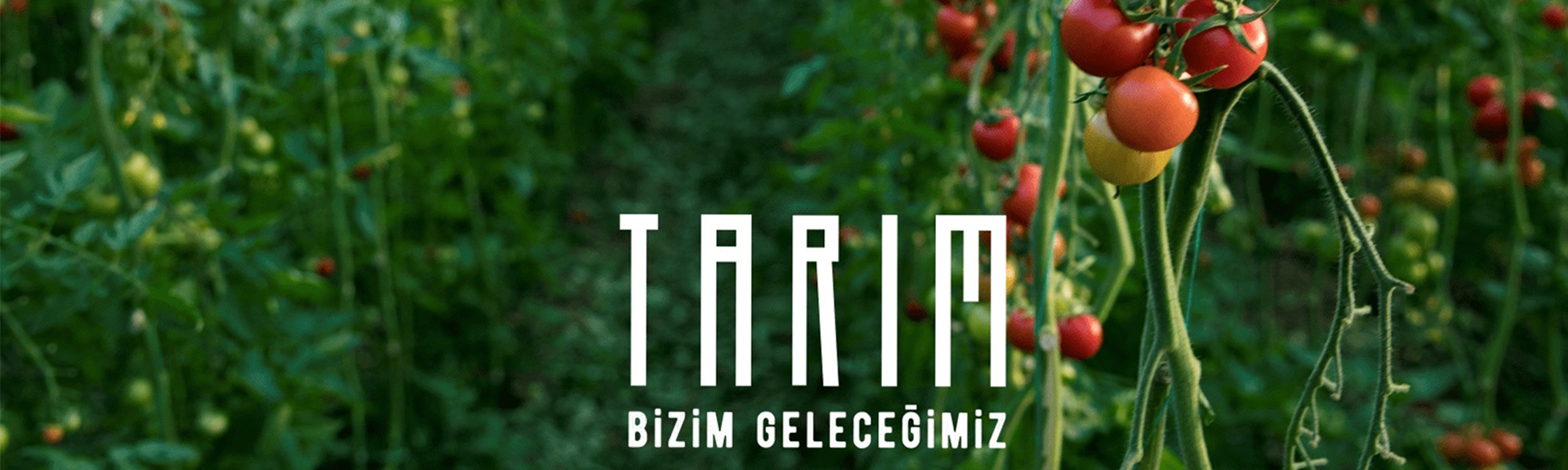 Tarım Bizim Geleceğimiz